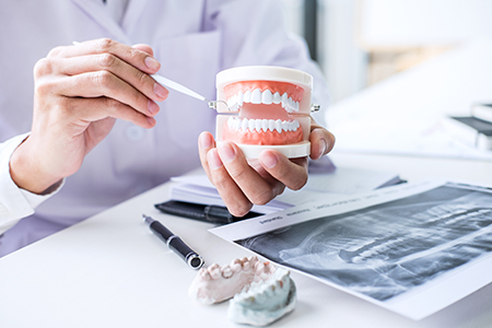 Dentasia Dental Services