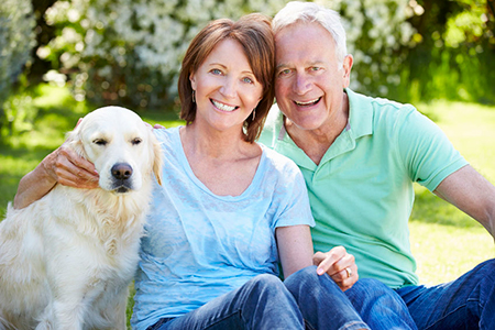 Dentasia Dental Services